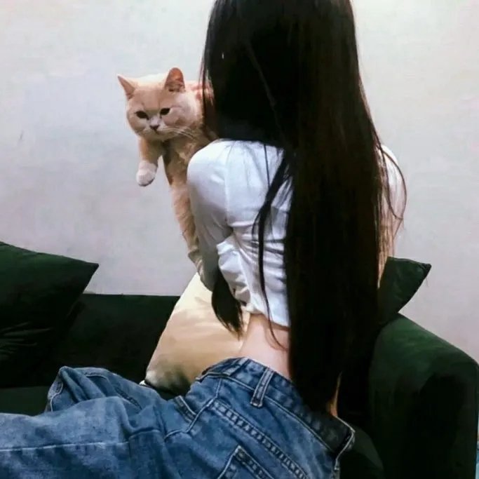 心葬
